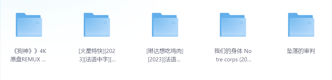法国高分电影合集5部 1080P 中文字幕 104G