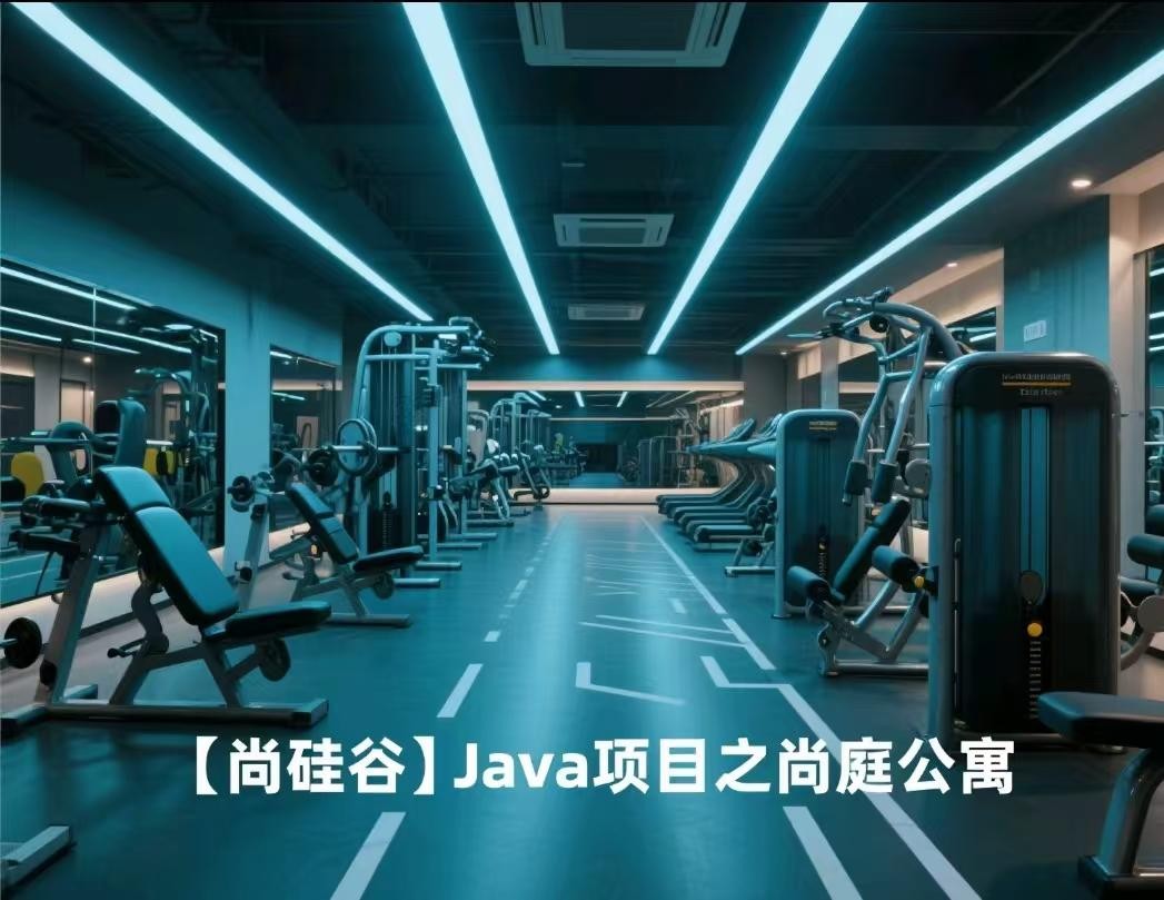 Java项目之尚庭公寓【10.1GB】