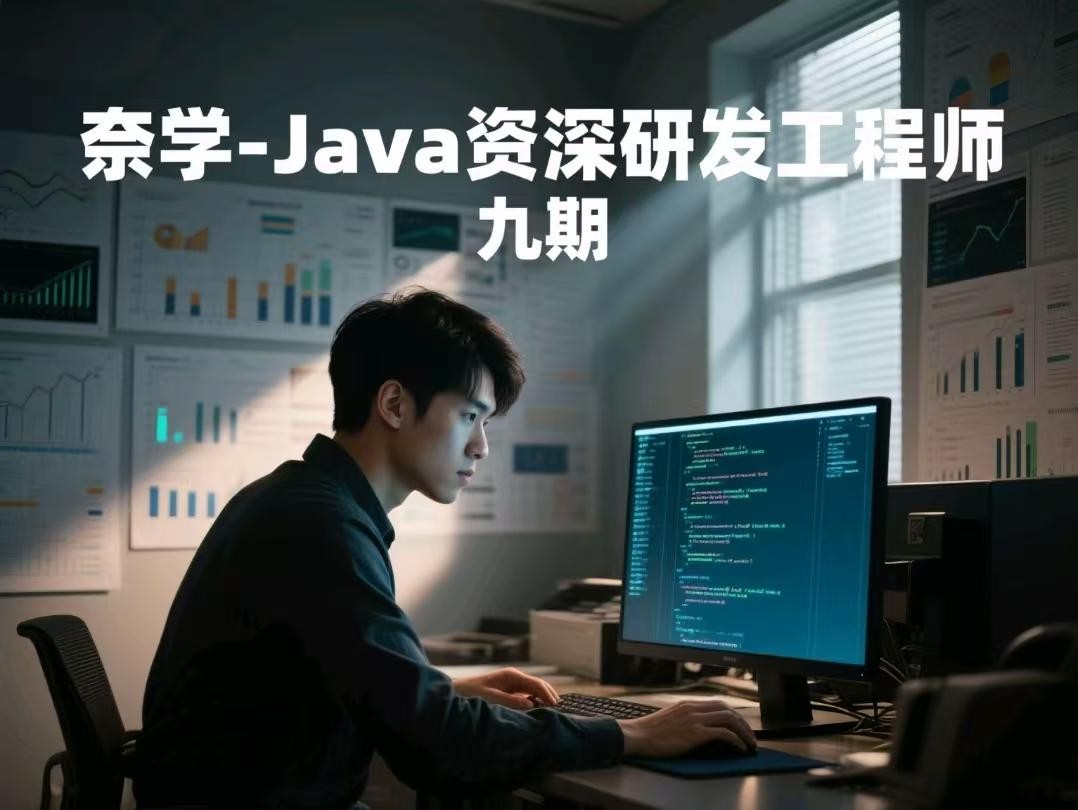 奈学-Java资深研发工程师 九期【72.2GB】
