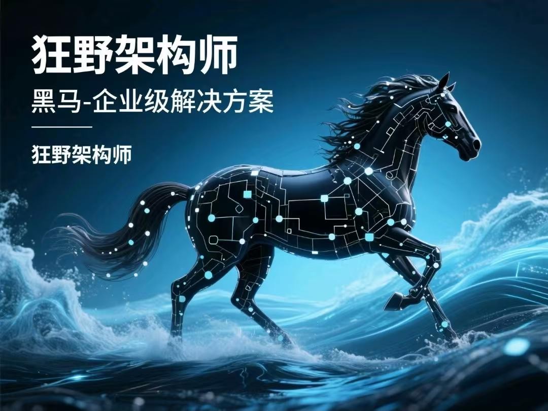 黑马-企业级解决方案(狂野架构师)【18GB】