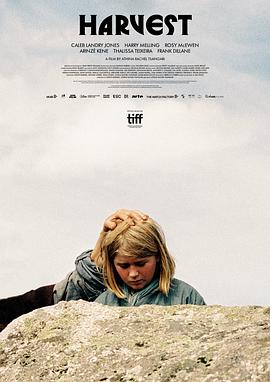 收成 Harvest 收成 Harvest