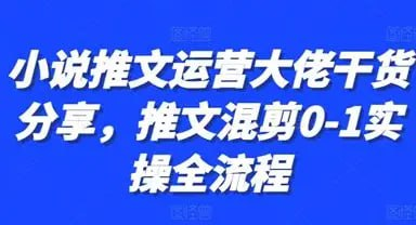【教程】小说推文混剪起号全攻略：故事剪辑+运营思路  视频教程 mp4  [256MB]